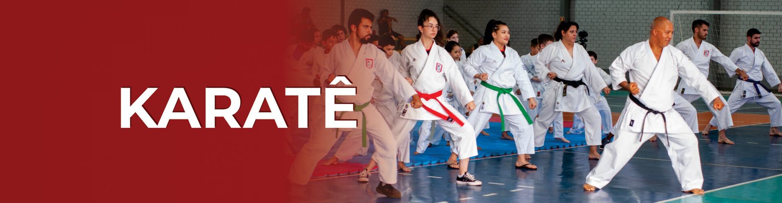 banner-site-karate-social